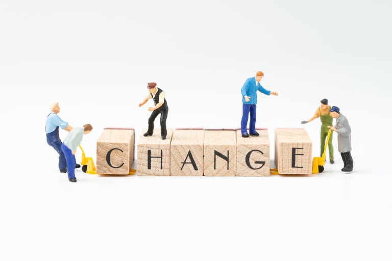 Com gestiones els canvis?